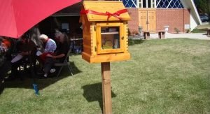 Little free library